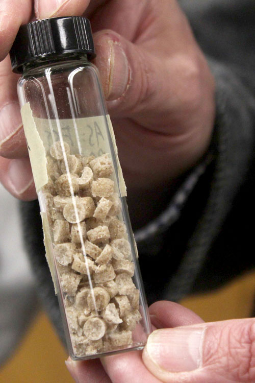 USask chemistry professor Dr. Lee Wilson (PhD) holds an example of bioplastic pellets designed to absorb phosphate from water. Photo by Kristen McEwen