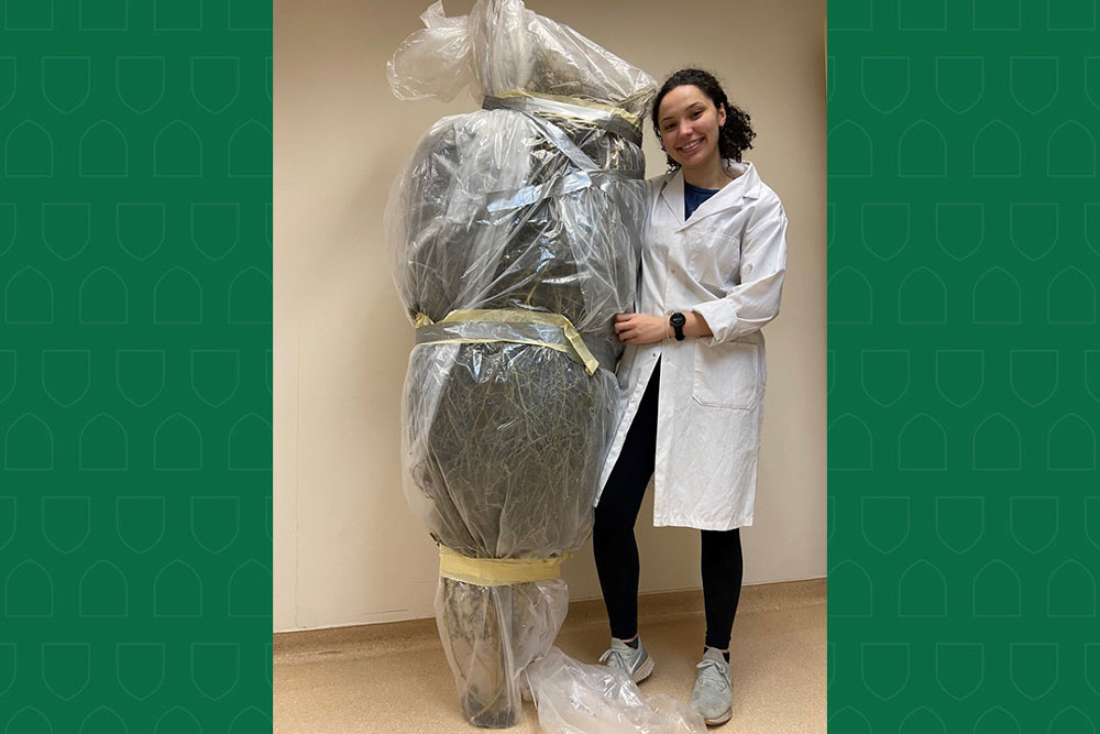 Through her undergraduate thesis project, Olivia Stewart (BSA’24) demonstrated that a common weed found in Saskatchewan—kochia—is a viable source of cellulose. Here she is pictured with kochia prior to processing. (Photos supplied by Oliva Stewart)